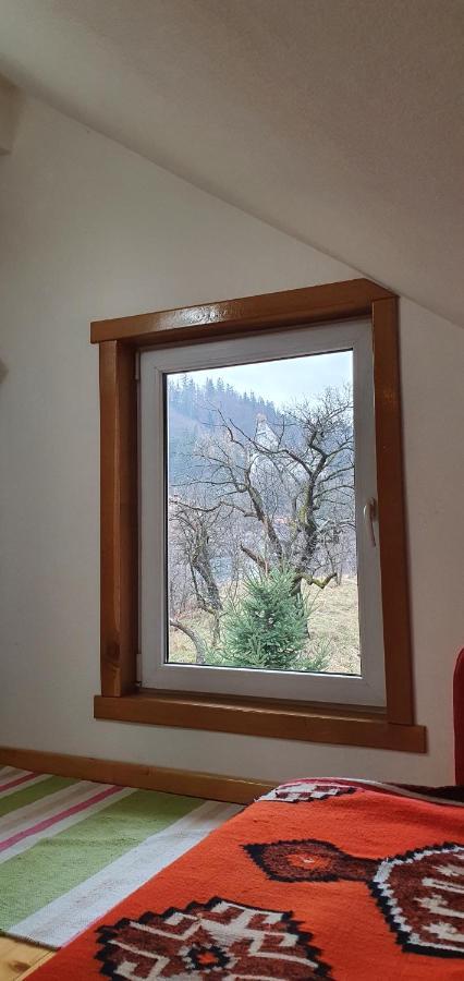 Bran 99 Ferienhaus Bran (Brasov)